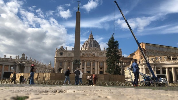 Workers-look-on-as-a-crane-lifts-a-Christmas-Tree-silver-fir-from-the-Abruzzo-region-into-position-at-St-Peters-Square