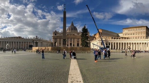 Workers-look-on-as-a-crane-lifts-a-Christmas-Tree-silver-fir-from-the-Abruzzo-region-into-position-at-St-Peters-Square