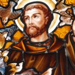 São Francisco de Assis nos ensina como construir uma vida