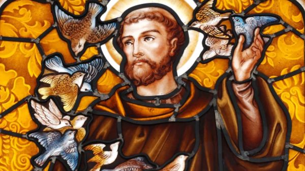 Saint François d'Assise