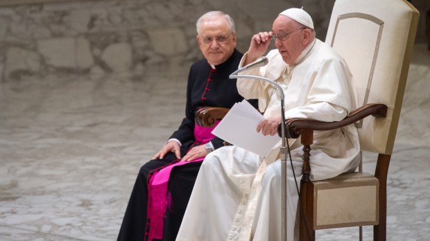 Pope Francis audience with pilgrims from Rho diocese