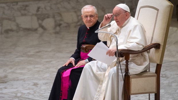 Pope Francis audience with pilgrims from Rho diocese