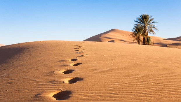 Deserto