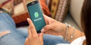 Como a Bíblia pode inspirar o bom uso dos grupos de pais de alunos no WhatsApp