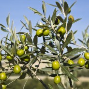 Stickers Item image #2