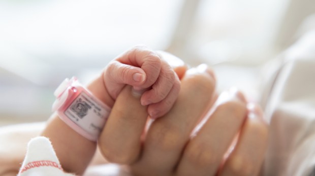 Bebê recém-nascido segura nas mãos da mãe