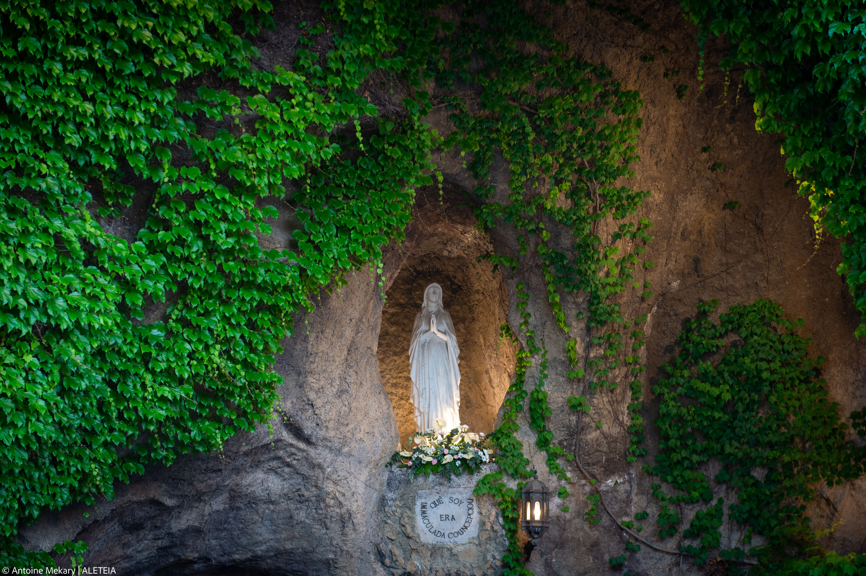 Holy Rosary and torchlight procession presided over by Card. Mauro Gambetti