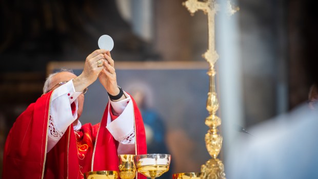 Mass for France celebrated by Cardinal Dominique Mamberti