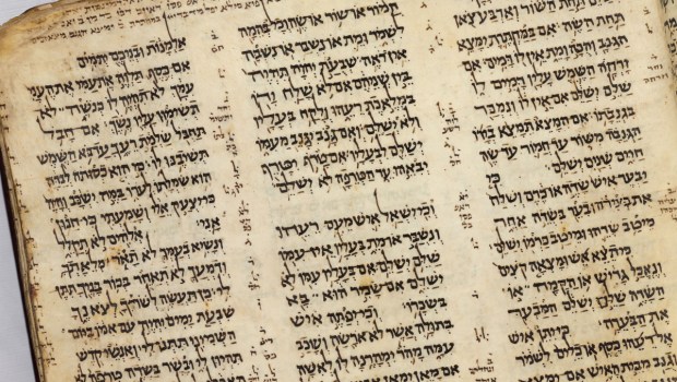 CODEX-SASSOON