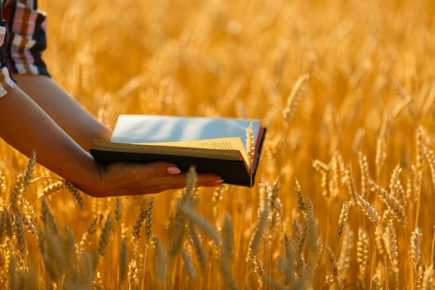Woman holding bible in summer field