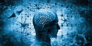 Neurociência confirma uma verdade que está no centro da nossa fé