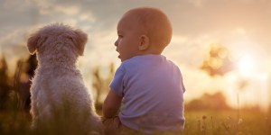 Sobre pets e pessoas amadas