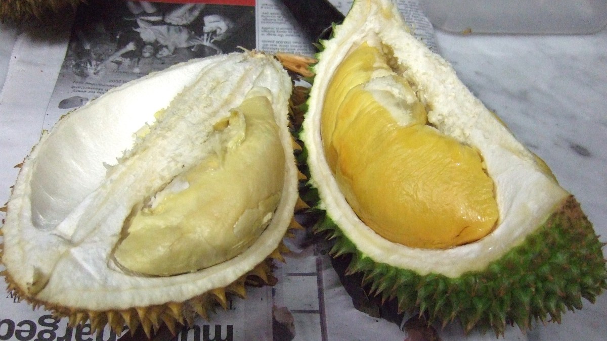 Durião