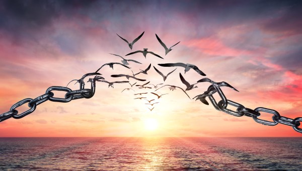 forgiveness freedom birds sunset chains broken
