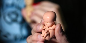 Novamente o aborto e a cultura da morte
