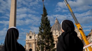 Árvore de Natal no Vaticano