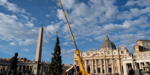 Árvore de Natal do Vaticano já está na Praça São Pedro