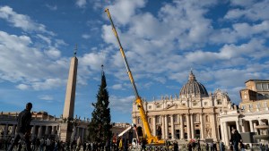 Giant fir donated by the city of Macra in the Italian northern region of Piedmont, lifted by cranes in St. Peter's Square