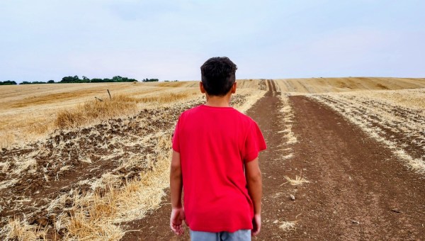 garçon, campagne, chemin