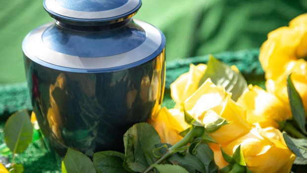 vaso com cinzas e flores ao lado