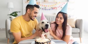 Humanizar os animais não é amá-los, pois desrespeita sua natureza, diz frade