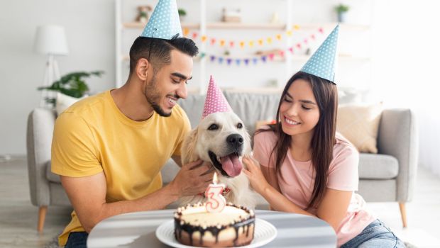 Adopcja psa - czy to dobry pomysł?