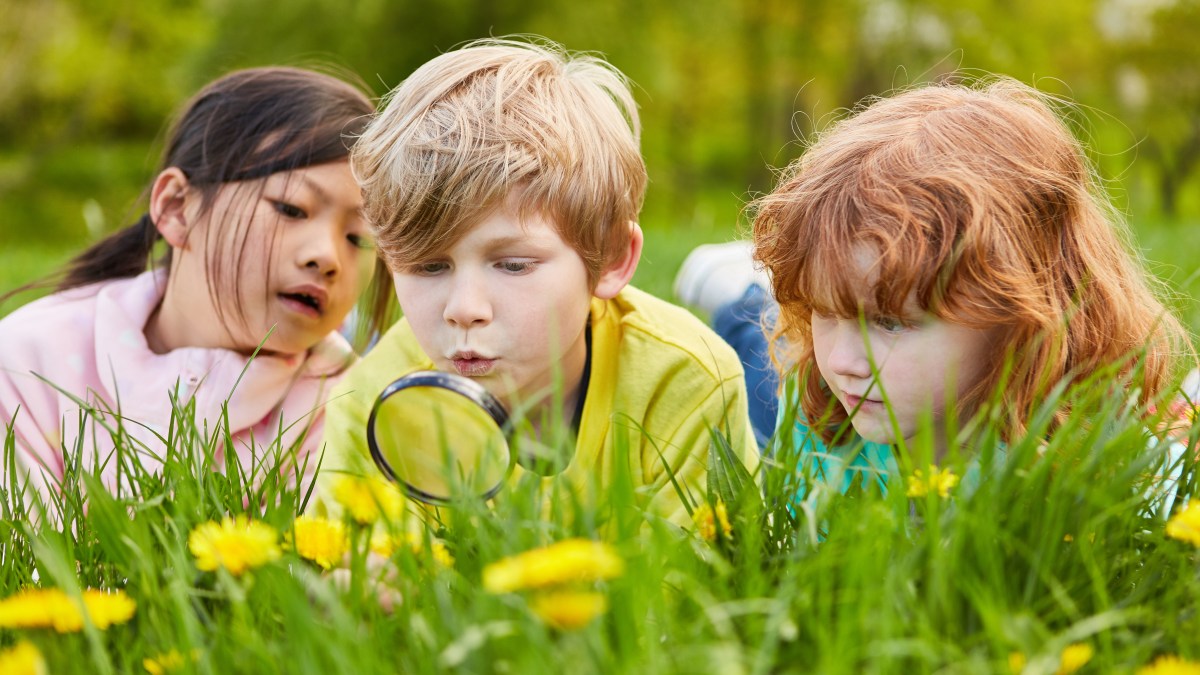 enfants-nature.jpg