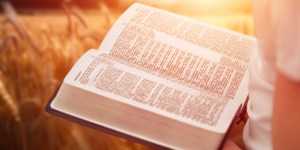 Os 4 degraus da Lectio Divina