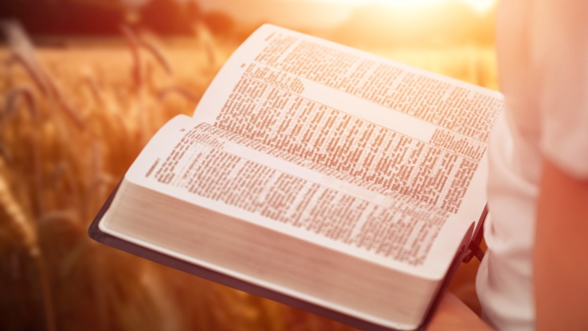 Bible in field