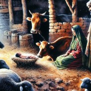 Stickers Item image #4