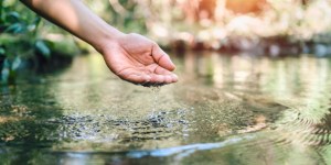 Um podcast sobre ecologia e economia