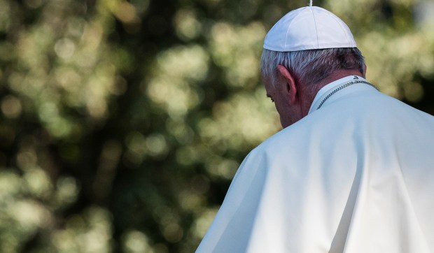 Corner Hero Image - Nunca um Papa fez tanto pela Amazônia como Papa Francisco