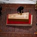 O caixão do Papa Francisco foi fechado em um rito privado (Fotos).