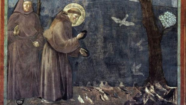 Le-Preche-aux-oiseaux-saint-francois-giotto