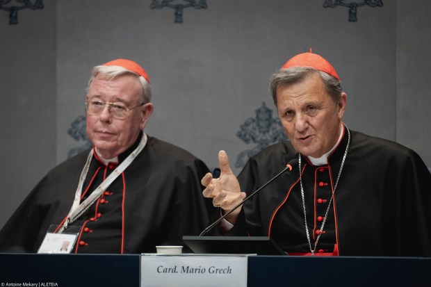 His Eminence Cardinal Mario Grech