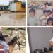 Prevost: os 19 anos em terras peruanas que moldaram sua visão e sensibilidade