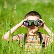 Stickers Item image #1