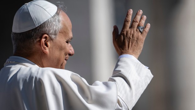 pope-leo-xiv-audience-august