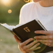 Stickers Item image #4