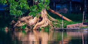 Água: da criação à vida nova