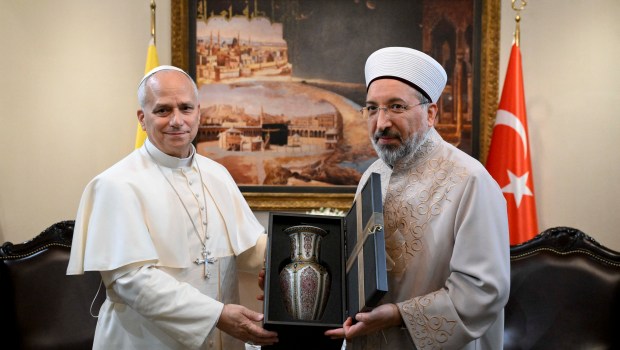 pope-leo-xiv-meets-president-of-the-religious-affairs-safi-arpagus-in-ankara