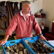 Stickers Item image #9