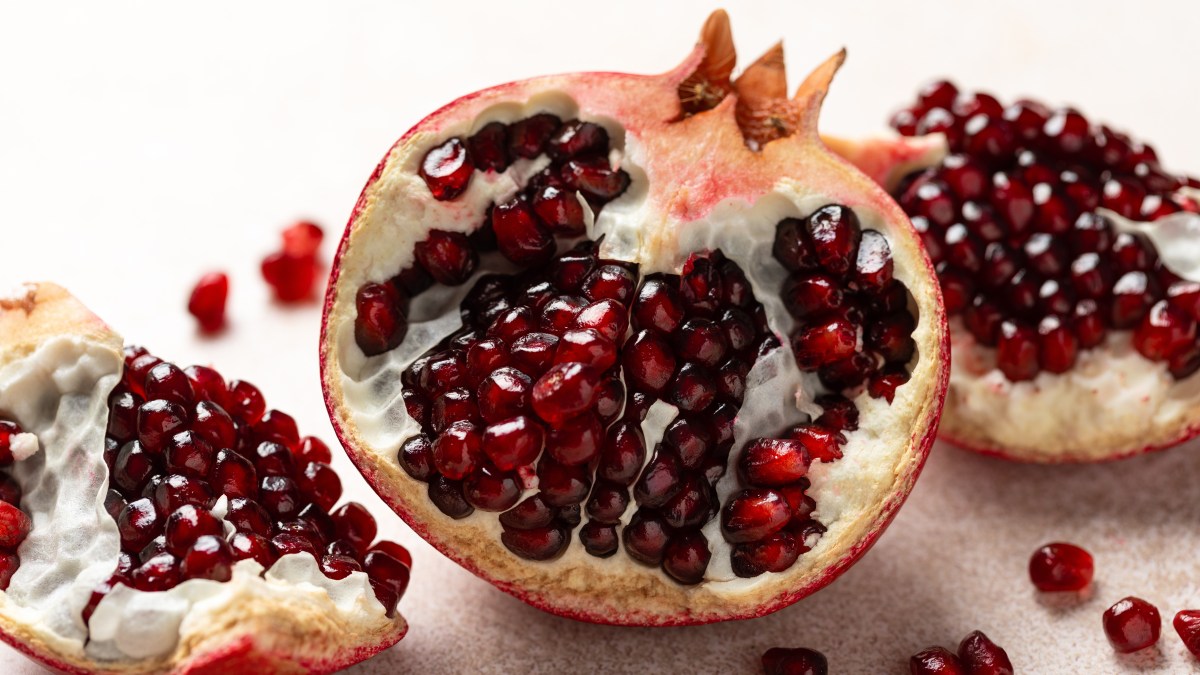 interieur-greande-fruit-bible-shutterstock