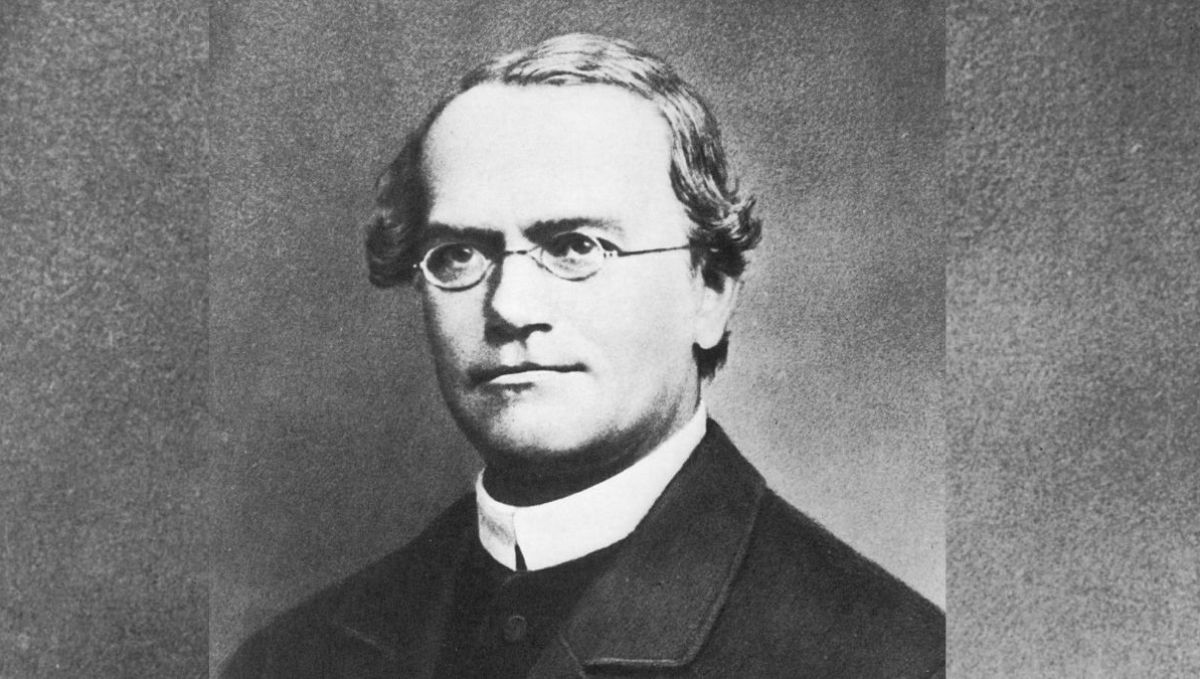 Gregor Mendel